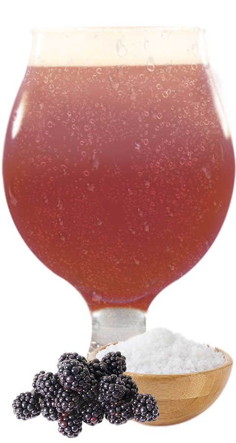 Purple-hued beer, Blackberry Gose, tulip glass with fruit and salt at the bottom.