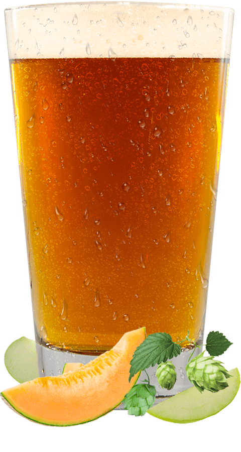 Brut IPA