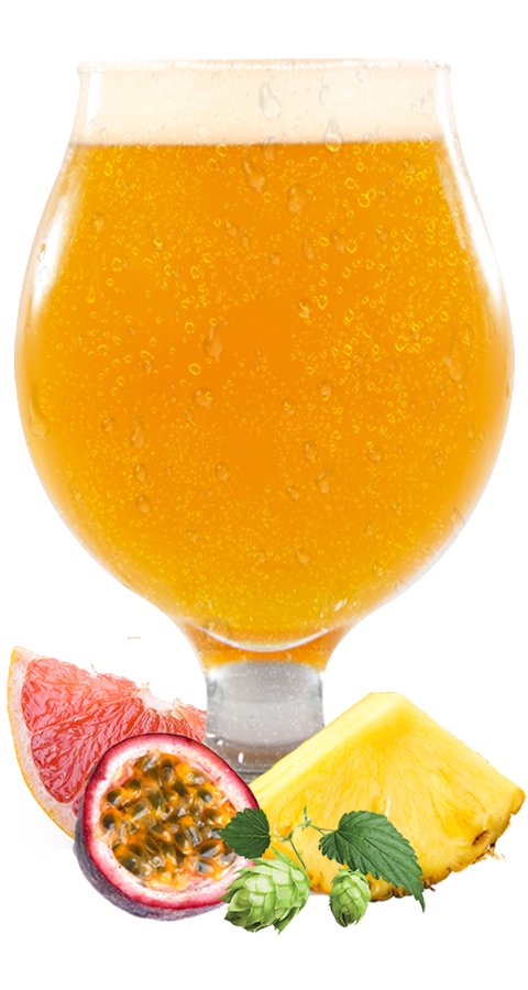 Cerebral Enhance-o-Tron beer with fruit at the bottom.