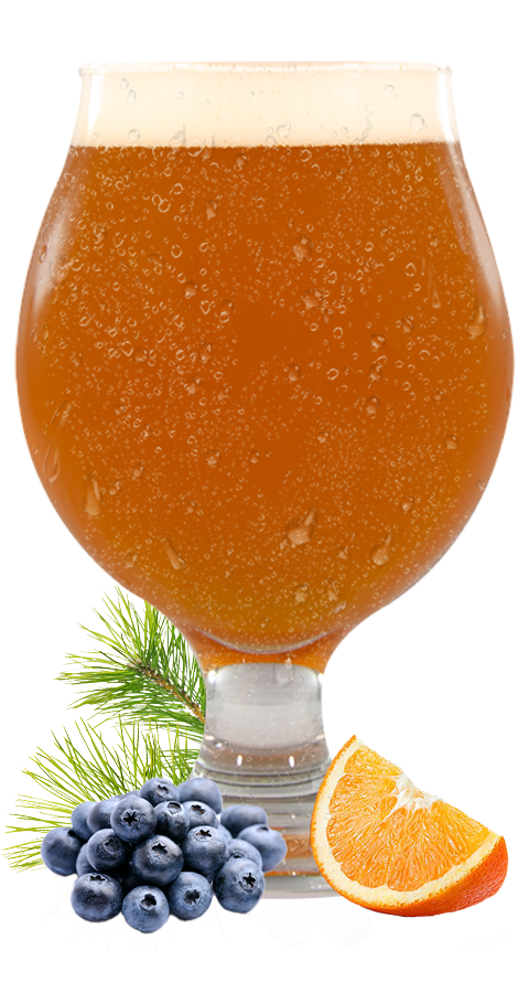 double IPA with notes of pine, blueberry, and orange