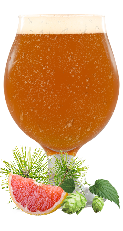 Red IPA with grapefruit, pine, and hops